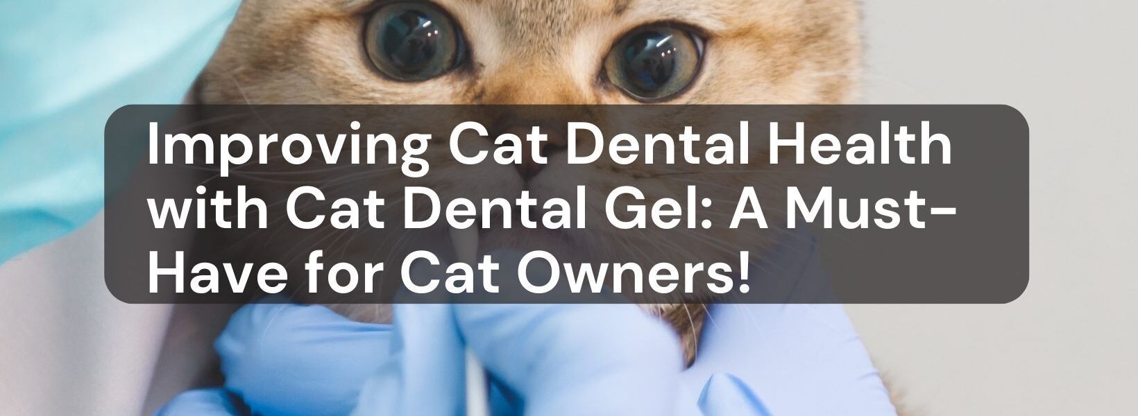 Cat Dental Gel